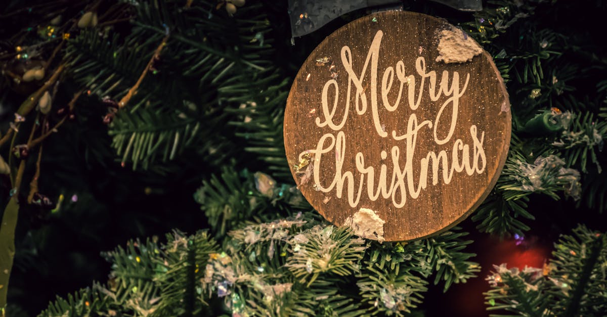 découvrez la magie de noël avec nos idées de décoration, recettes festives et conseils pour célébrer christmas en famille. inspirez-vous pour passer des fêtes inoubliables !