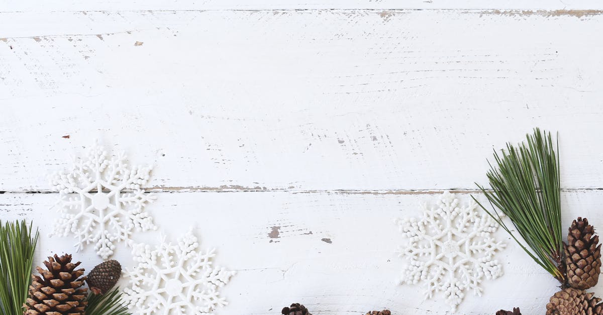 découvrez l’esprit de noël avec nos idées de cadeaux, décorations festives et recettes gourmandes pour rendre la période de noël magique et inoubliable en famille ou entre amis.