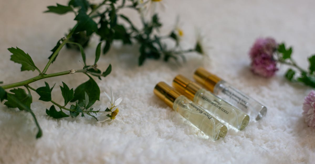 découvrez notre sélection de fragrances uniques : des parfums envoûtants pour hommes et femmes, conçus pour révéler votre personnalité. trouvez l'essence idéale qui vous ressemble et laissez-vous séduire par des senteurs irrésistibles.