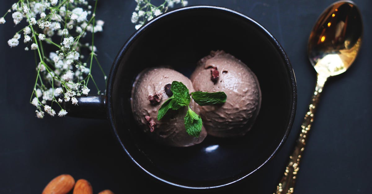découvrez tout sur la glace : des parfums gourmands, des astuces pour la réaliser maison et les meilleures adresses pour savourer une glace rafraîchissante. idéal pour les amateurs de douceurs sucrées !