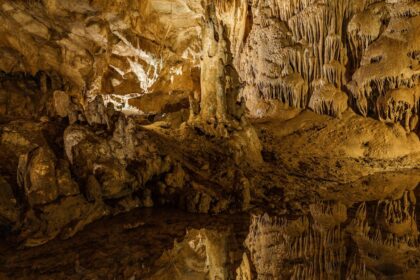 découvrez une exploration captivante des réflexions : analyse, introspection et perspectives sur nos pensées et expériences quotidiennes.