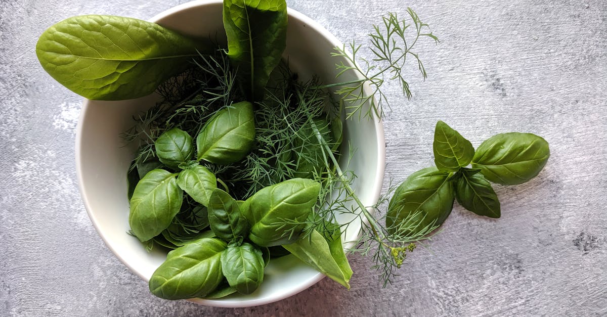 découvrez tout sur le goût : ses différentes saveurs, son impact sur notre alimentation et nos expériences culinaires. apprenez comment développer et affiner votre sens du goût au quotidien.