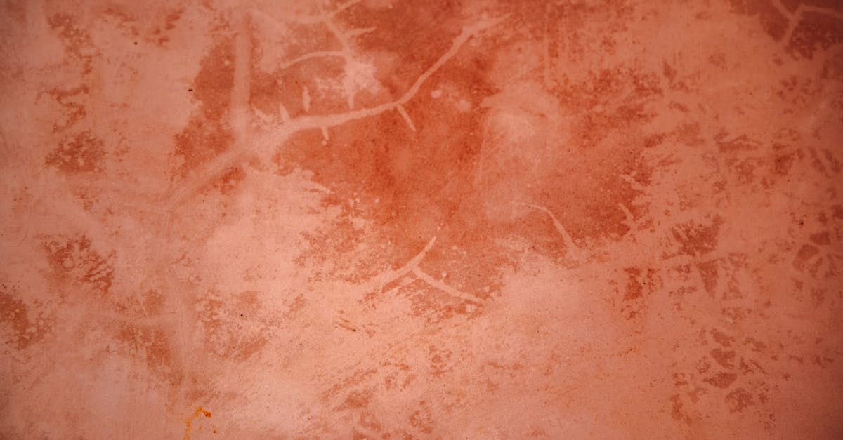 découvrez la terracotta, une teinte chaleureuse et authentique inspirée de l’argile cuite. idéale pour la décoration, la mode et l’artisanat, elle apporte charme et élégance à tous vos projets.