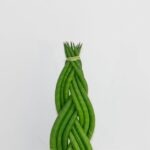 découvrez tout sur le braid : techniques, styles et idées pour sublimer vos coiffures avec élégance et créativité.