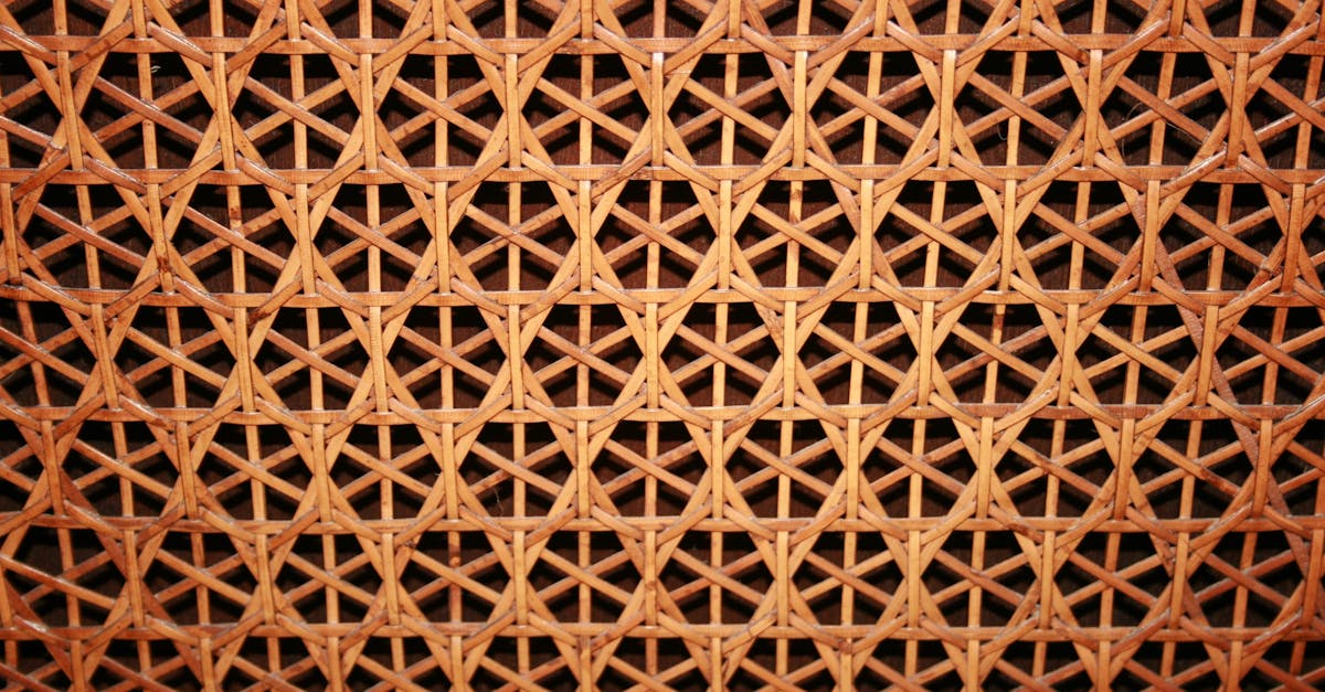 découvrez tout sur les tresses : styles, techniques et conseils pour sublimer vos cheveux avec élégance.