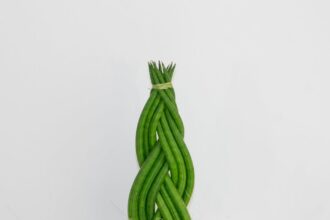 découvrez tout sur le braid : techniques, styles et idées pour sublimer vos coiffures avec élégance et créativité.