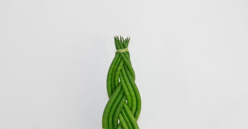 découvrez tout sur le braid : techniques, styles et idées pour sublimer vos coiffures avec élégance et créativité.