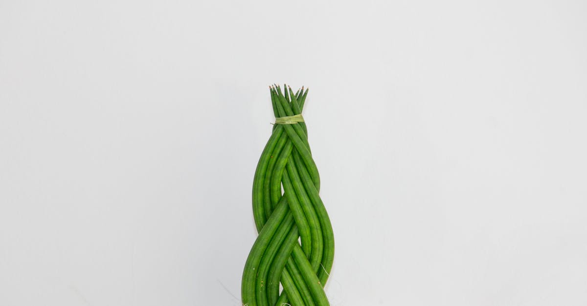 découvrez tout sur le braid : techniques, styles et idées pour sublimer vos coiffures avec élégance et créativité.