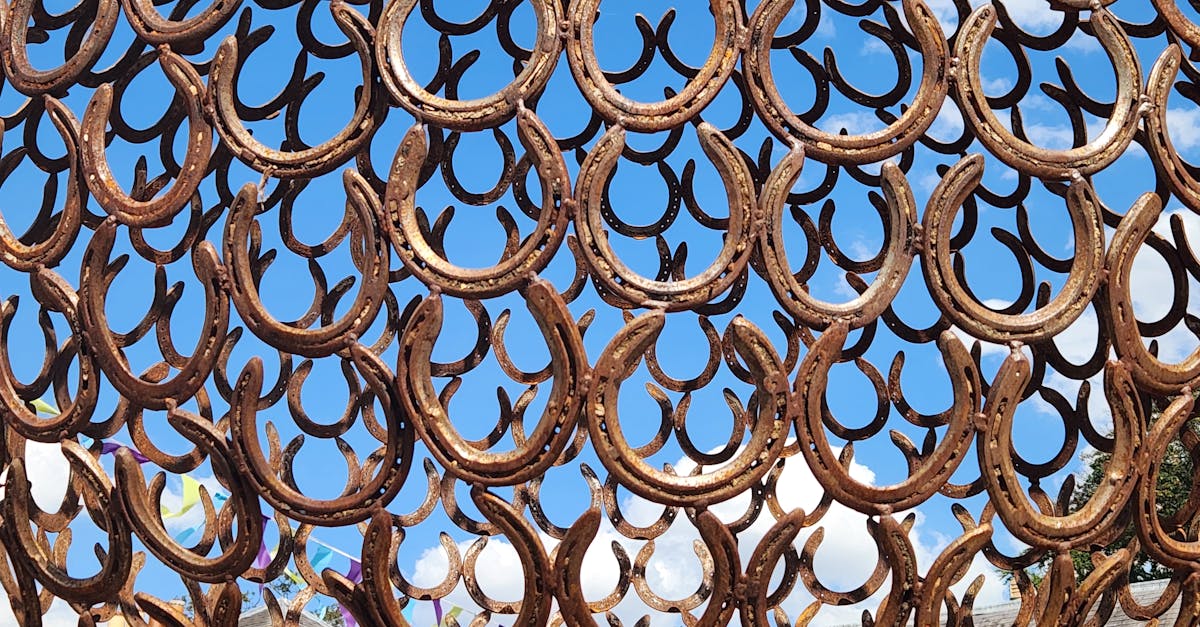 découvrez tout sur lucky blue smith, modèle et icône de mode internationale, célèbre pour son charisme unique et son style avant-gardiste.