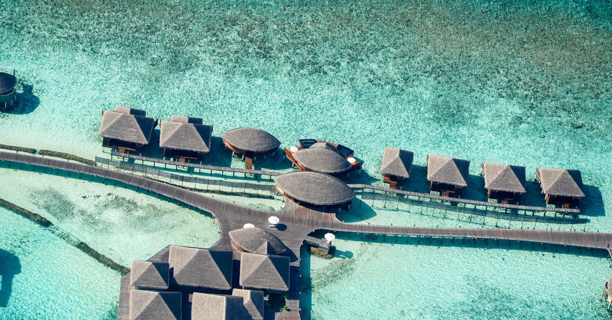 découvrez paradise island, une destination paradisiaque où plages de sable fin et eaux turquoise vous invitent à la détente et à l'aventure.