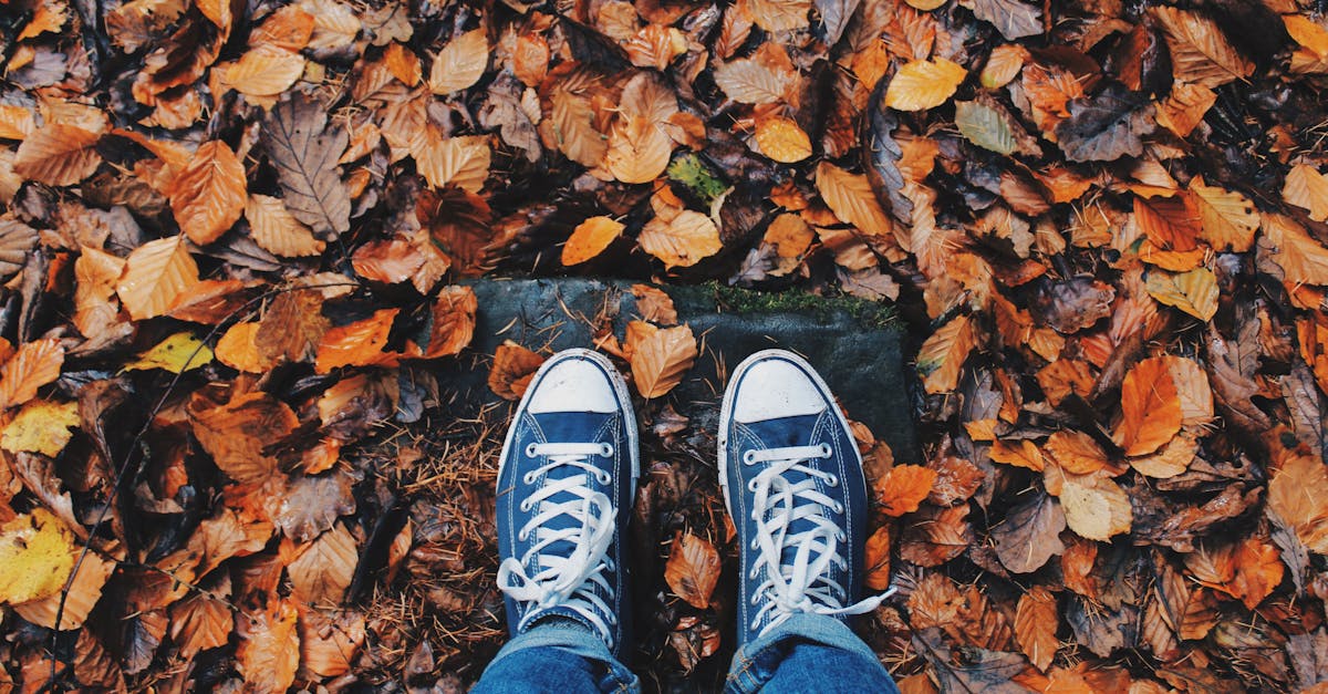 découvrez les samba sneakers, alliant style classique et confort moderne pour un look urbain incontournable.