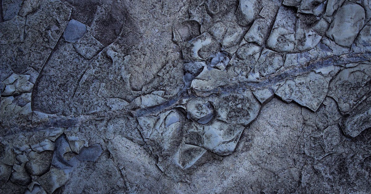 découvrez comment adopter et styliser les franges déstructurées pour un look tendance et original, facilement adapté à toutes les formes de visage.