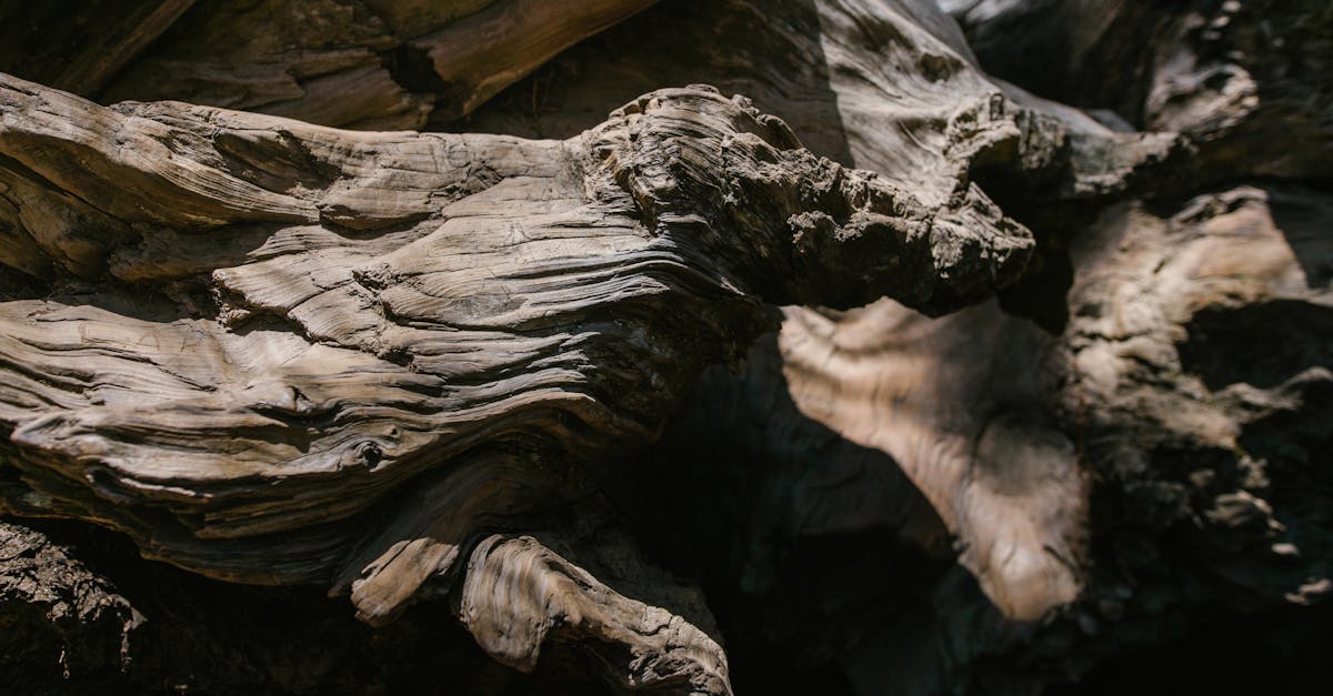 découvrez comment adopter et styliser des franges dégradées pour un look moderne et unique. conseils et inspirations pour des franges asymétriques tendance.