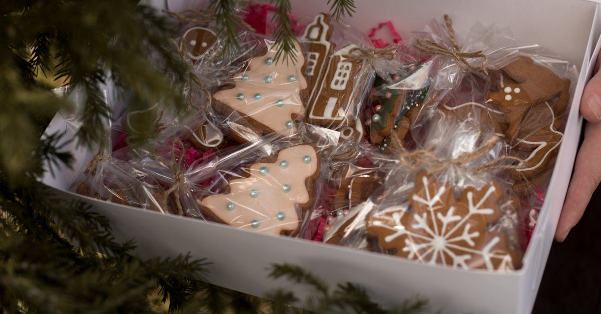 découvrez nos délicieuses recettes d'apéritifs de noël faciles à préparer pour ravir vos invités pendant les fêtes.