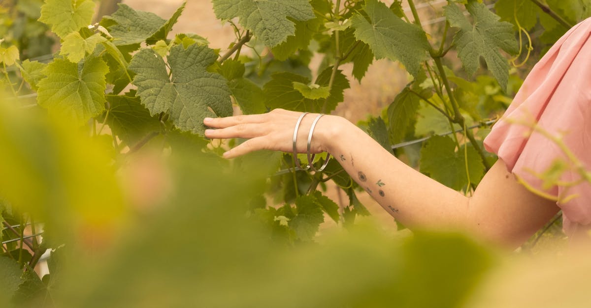 découvrez des tatouages délicats pour l'oreille, alliant finesse et originalité pour un style subtil et élégant.