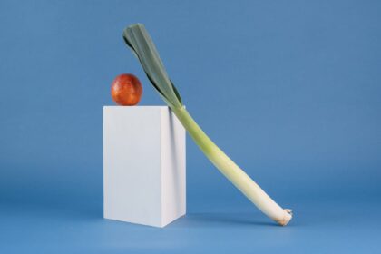 découvrez des formes créatives et amusantes de fruits et légumes pour stimuler votre imagination et rendre vos repas plus colorés et attrayants.