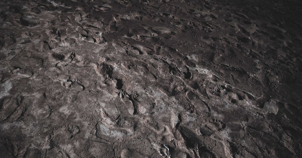 découvrez une plage nudiste cachée, un havre de paix préservé pour profiter du soleil et de la nature en toute liberté.