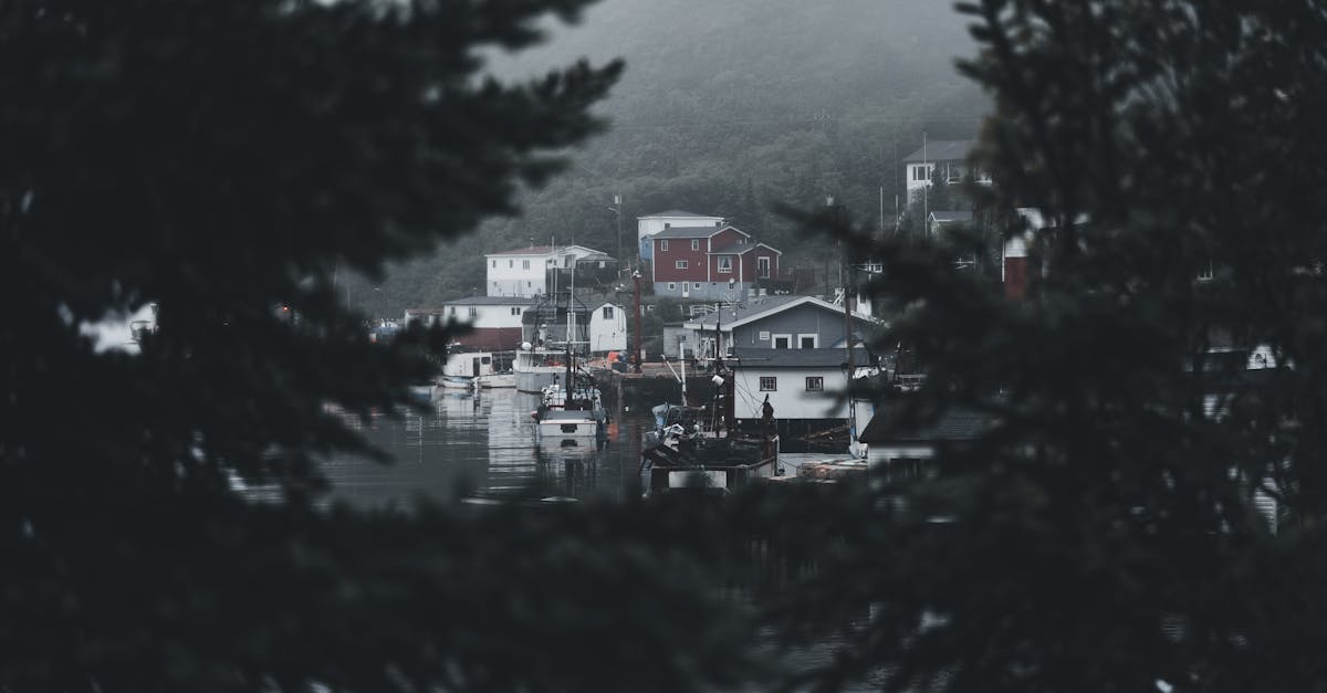 découvrez un village portugais caché, authentique et plein de charme, loin des sentiers battus, où la culture et la nature se mêlent pour une expérience unique.