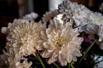 découvrez nos conseils incontournables de décoration intérieure pour transformer votre maison en un espace chaleureux et élégant.