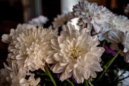 découvrez nos conseils incontournables de décoration intérieure pour transformer votre maison en un espace chaleureux et élégant.