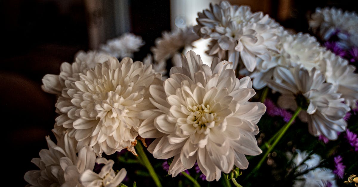 découvrez nos conseils incontournables de décoration intérieure pour transformer votre maison en un espace chaleureux et élégant.