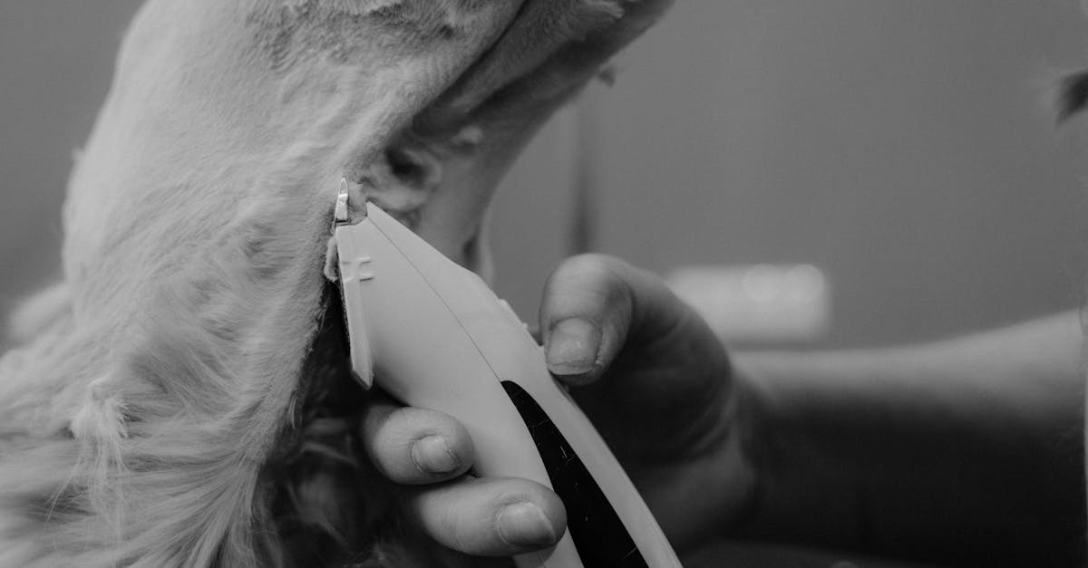 découvrez l'épilation laser illimitée pour une peau lisse et sans poils toute l'année. profitez d'un traitement efficace, rapide et durable adapté à tous les types de peau.