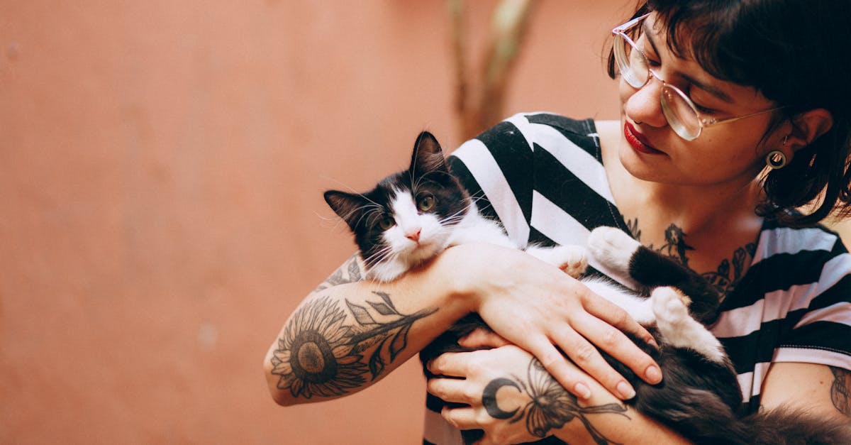 découvrez des idées inspirantes de tatouages de chats, alliant élégance et symbolisme félin pour exprimer votre amour pour ces animaux mystérieux.