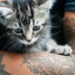 découvrez des idées créatives et originales de tatouages de chats, alliant élégance et symbolisme pour les amoureux des félins.