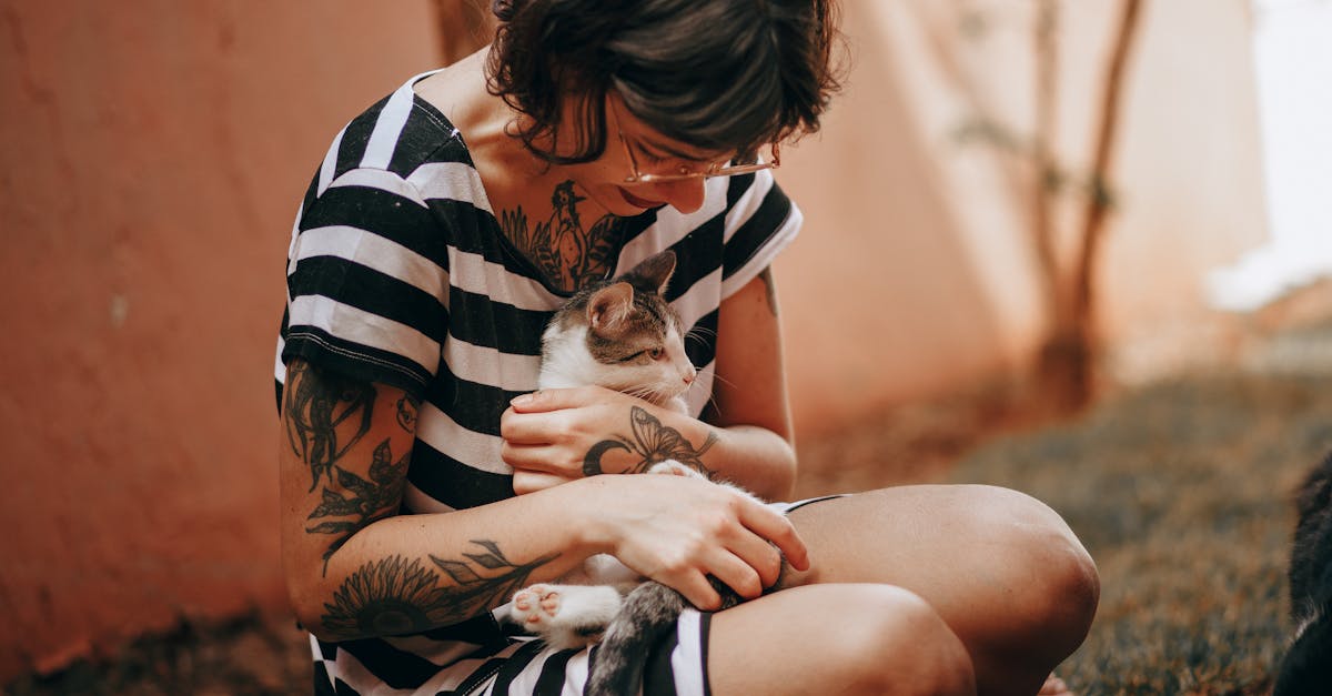 découvrez une collection inspirante de tatouages de chats, alliant élégance et créativité pour les amoureux des félins.