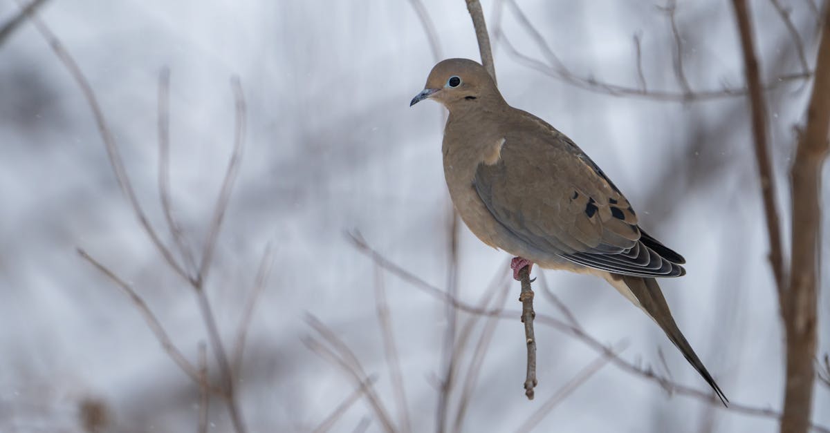 découvrez dove, la marque de soins personnels reconnue pour ses produits doux et nourrissants qui respectent la peau et subliment la beauté naturelle.