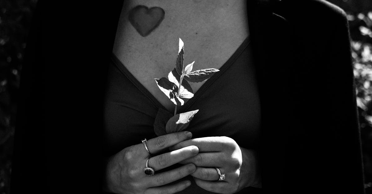 découvrez la signification et les styles variés du tatouage cœur, symbole d'amour, de passion et d'émotion intense. inspirez-vous pour votre prochain tatouage unique.