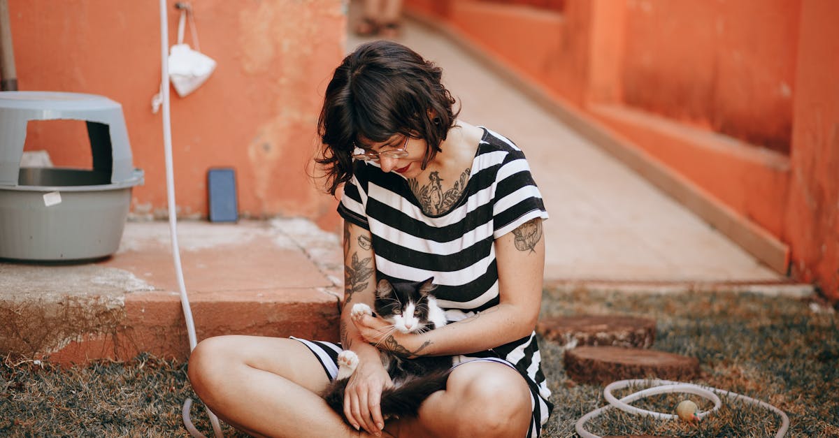 découvrez des tatouages de chat minimalistes alliant élégance et simplicité pour un style discret et moderne.