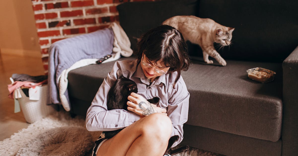 découvrez des tatouages minimalistes de chat alliant élégance et simplicité, parfaits pour exprimer votre amour félin avec style et subtilité.