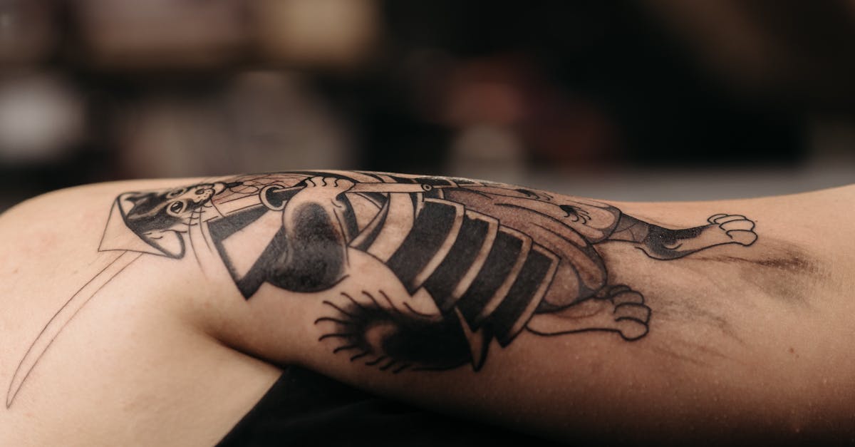 découvrez nos tatouages de chats minimalistes, élégants et modernes, parfaits pour exprimer votre amour pour les félins avec simplicité et style.