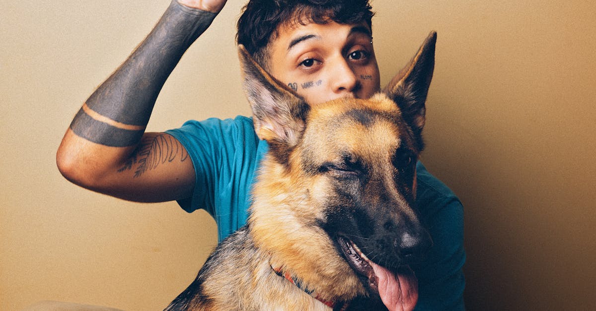 découvrez des tatouages de chiens minimalistes alliant simplicité et élégance, parfaits pour exprimer votre amour pour votre compagnon à quatre pattes avec délicatesse.