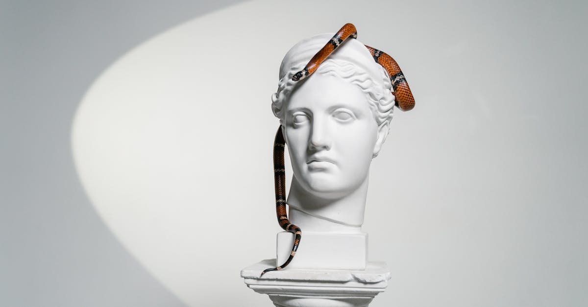 découvrez les significations symboliques puissantes des tatouages de serpent, un motif riche en histoire et en symbolisme à travers les cultures.