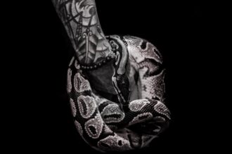 découvrez les significations symboliques puissantes des tatouages de serpent, représentant la transformation, la sagesse et la protection.