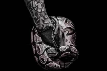 découvrez les significations symboliques puissantes des tatouages de serpent, représentant la transformation, la sagesse et la protection.