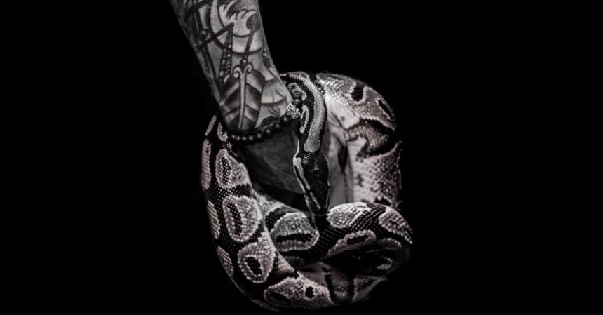 découvrez les significations symboliques puissantes des tatouages de serpent, représentant la transformation, la sagesse et la protection.
