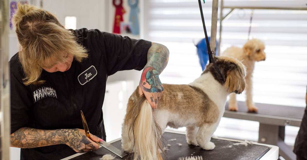 améliorez votre tatouage avec un design unique mettant en scène votre chien, pour une œuvre personnalisée et pleine d’émotion.