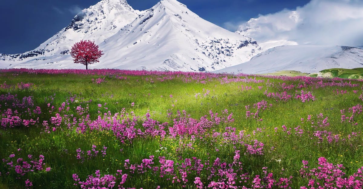 découvrez la symbolique et la beauté de l'arbre de vie, un symbole universel de croissance, de connexion et d'éternité.